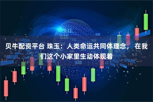 贝牛配资平台 珠玉：人类命运共同体理念， 在我们这个小家里生动体现着